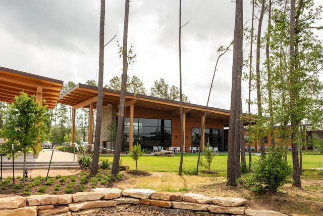 13051 Wandering Ridge Lane, Conroe, TX 77302