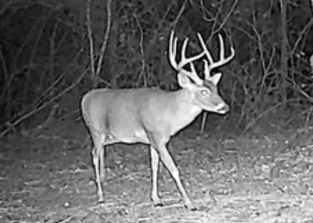 15147 County Road 499, Normangee, TX 77871