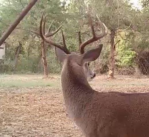 15147 County Road 499, Normangee, TX 77871