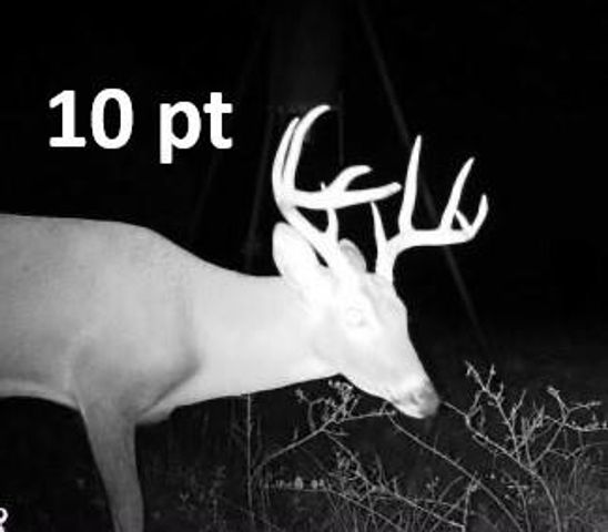 15147 County Road 499, Normangee, TX 77871