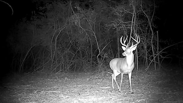 15147 County Road 499, Normangee, TX 77871
