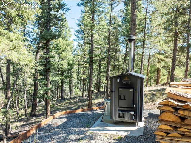 80 Feldspar Road, Florissant, CO 80816