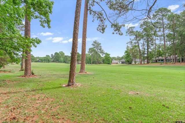 442 Greenbriar Trail, Holly Lake Ranch, TX 75765