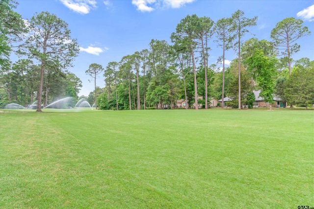 442 Greenbriar Trail, Holly Lake Ranch, TX 75765