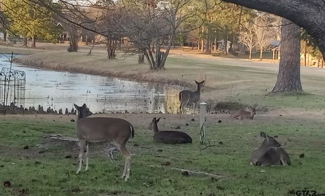 442 Greenbriar Trail, Holly Lake Ranch, TX 75765
