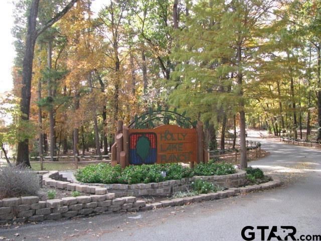 442 Greenbriar Trail, Holly Lake Ranch, TX 75765
