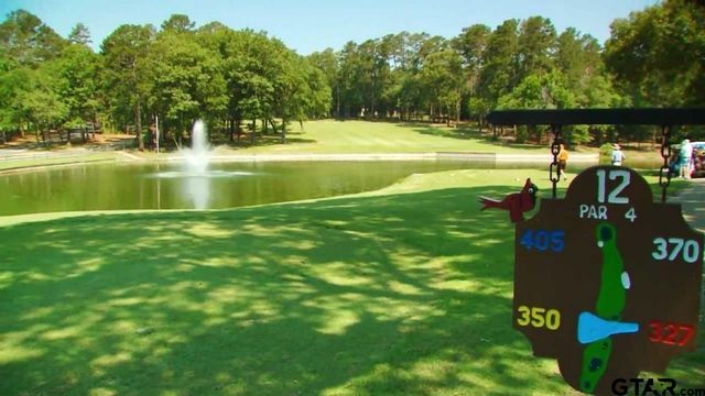 442 Greenbriar Trail, Holly Lake Ranch, TX 75765