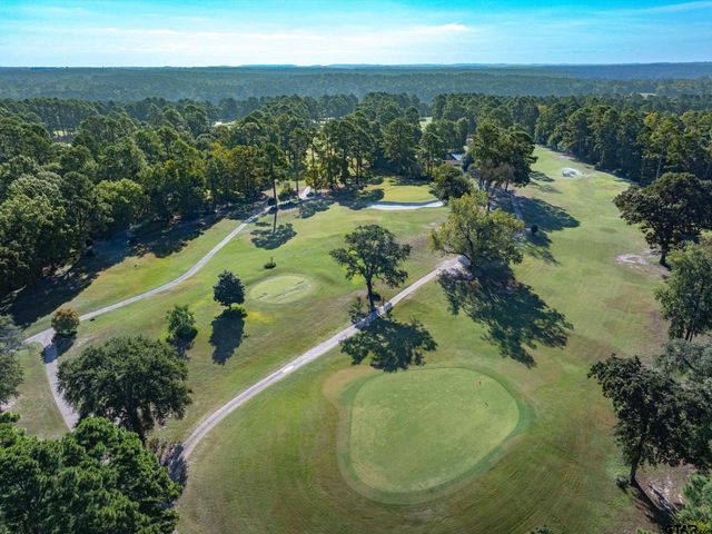 442 Greenbriar Trail, Holly Lake Ranch, TX 75765