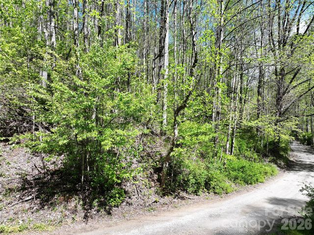 00 Hanks Road, Waynesville, NC 28785