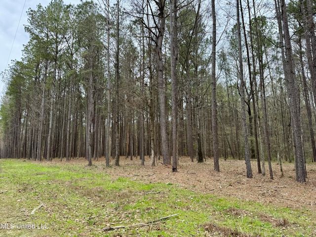 Robinson Rd, Canton, MS 39046