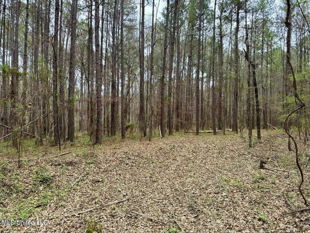 Robinson Rd, Canton, MS 39046