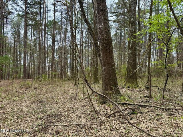 Robinson Rd, Canton, MS 39046