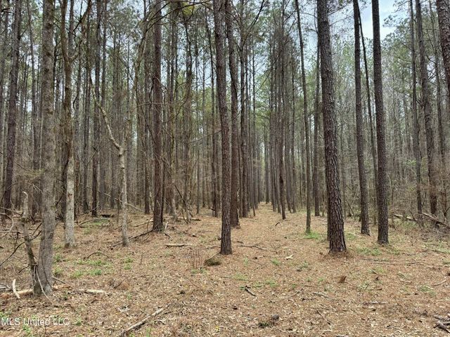 Robinson Rd, Canton, MS 39046