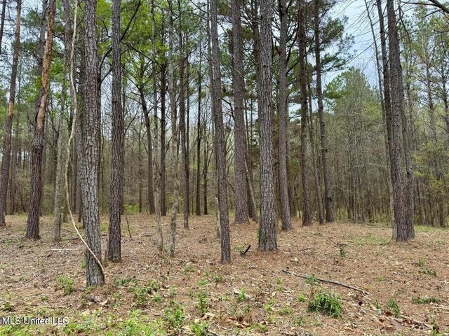 Robinson Rd, Canton, MS 39046