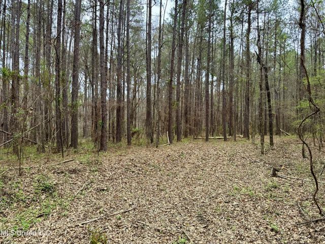 Robinson Rd, Canton, MS 39046