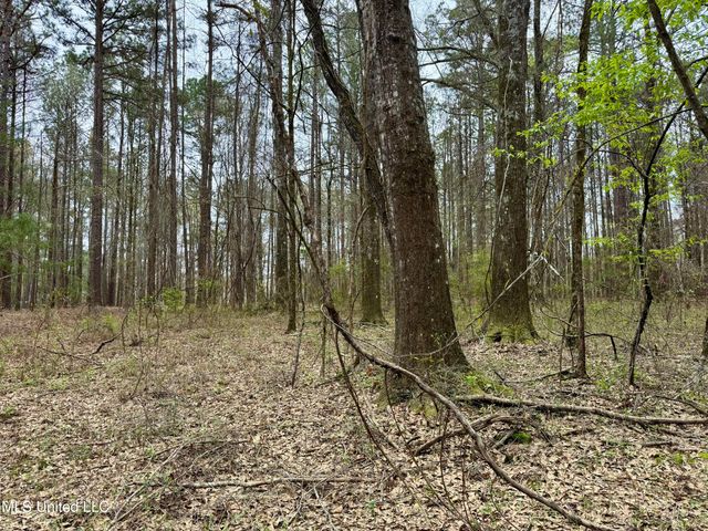 Robinson Rd, Canton, MS 39046