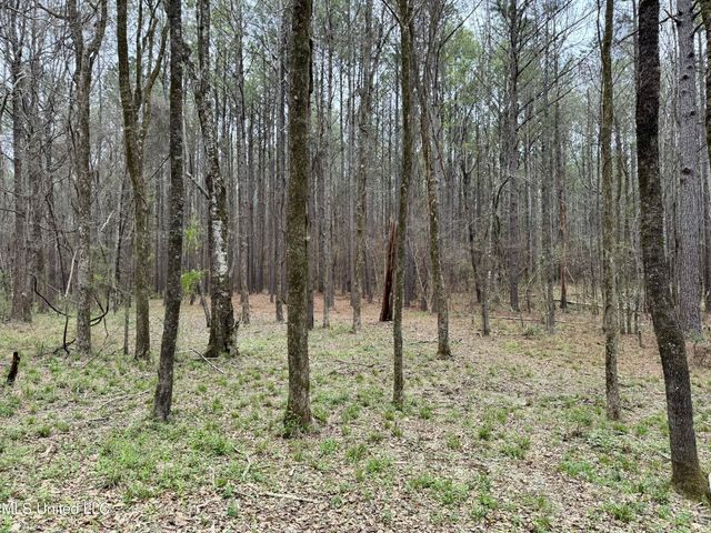 Robinson Rd, Canton, MS 39046