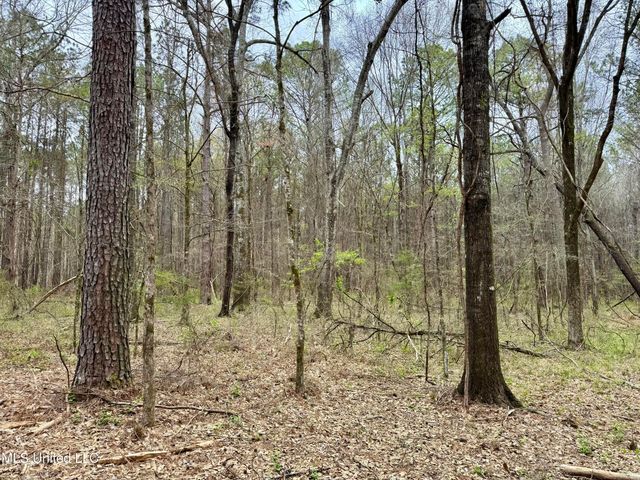 Robinson Rd, Canton, MS 39046
