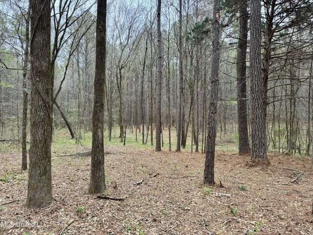 Robinson Rd, Canton, MS 39046