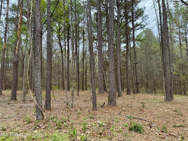 Robinson Rd, Canton, MS 39046