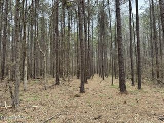 Robinson Rd, Canton, MS 39046