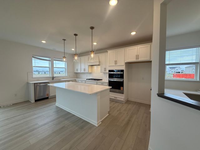 15036 Amberfields Boulevard, Rosemount, MN 55068