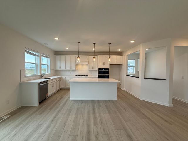 15036 Amberfields Boulevard, Rosemount, MN 55068