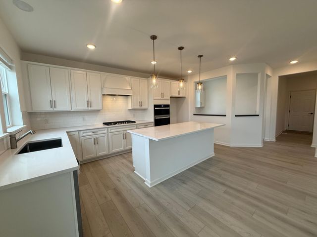 15036 Amberfields Boulevard, Rosemount, MN 55068