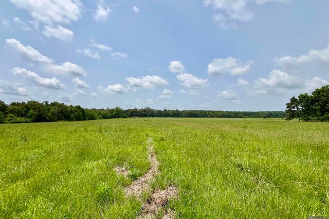 04 Hokaday Rd, Slaughter, LA 70777