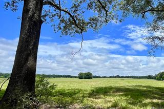 04 Hokaday Rd, Slaughter, LA 70777