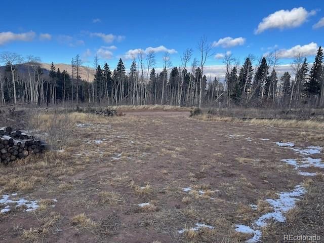 2544 Petito Dr, Fort Garland, CO 81133