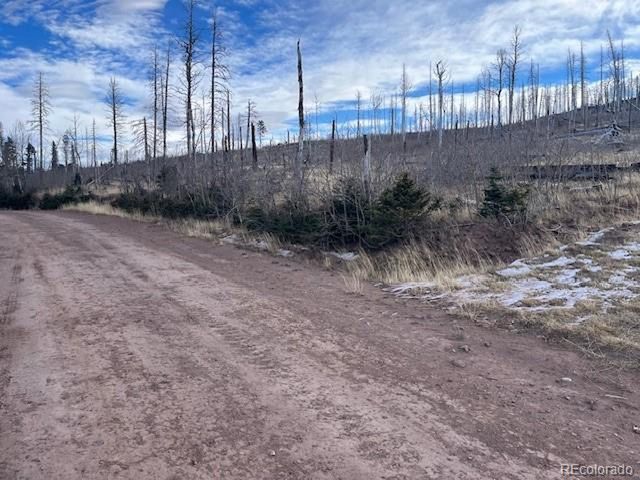 2544 Petito Dr, Fort Garland, CO 81133