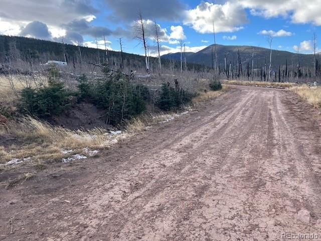 2544 Petito Dr, Fort Garland, CO 81133