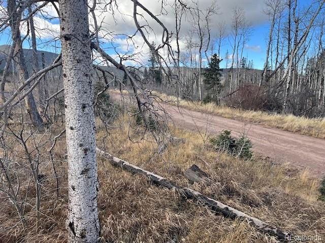 2544 Petito Dr, Fort Garland, CO 81133