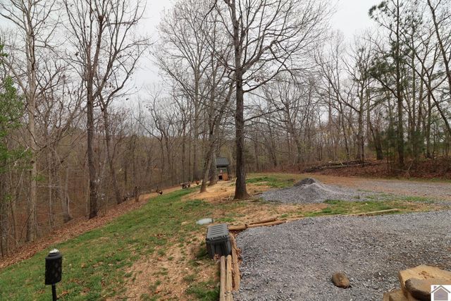 43 Barnacle Dr, New Concord, KY 42076