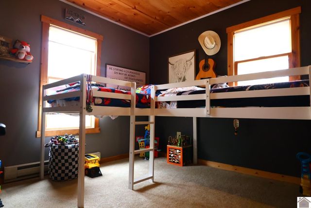 43 Barnacle Dr, New Concord, KY 42076