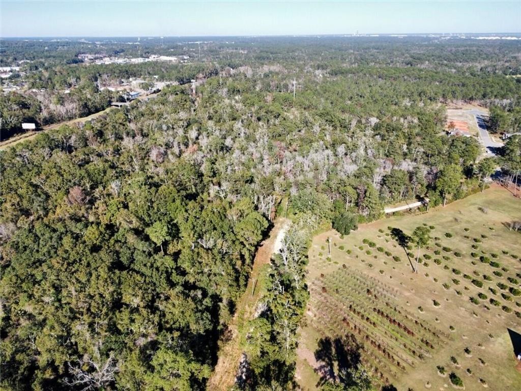 0 Riviere Du Chien Road, Mobile, AL 36693 — photo 3