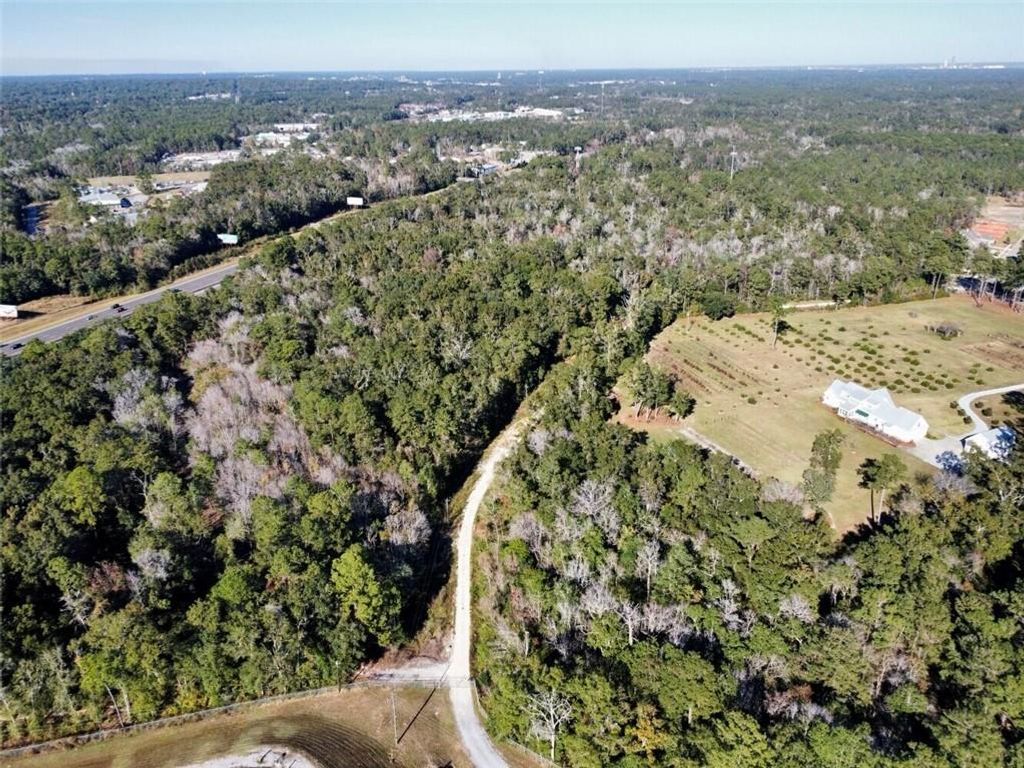 0 Riviere Du Chien Road, Mobile, AL 36693 — photo 4