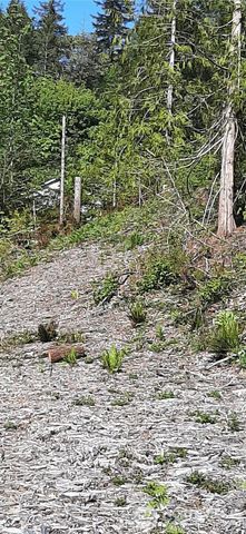 221 NE WJ Way, Belfair, WA 98528