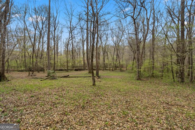 1229 Boggus Road, Franklin, GA 30217