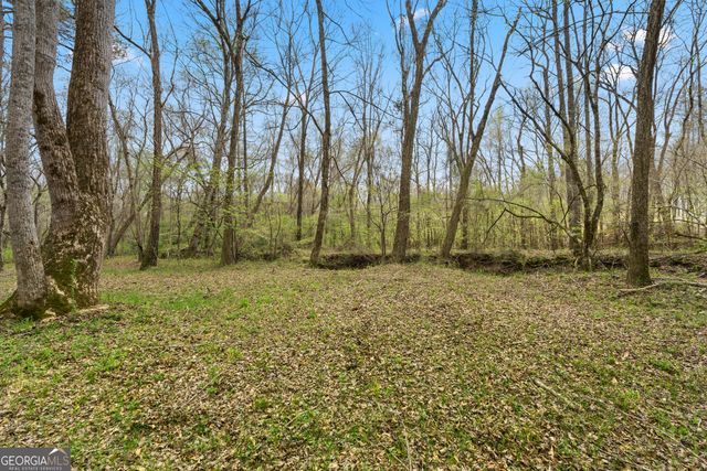 1229 Boggus Road, Franklin, GA 30217