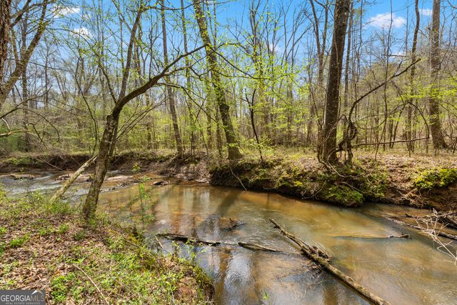 1229 Boggus Road, Franklin, GA 30217