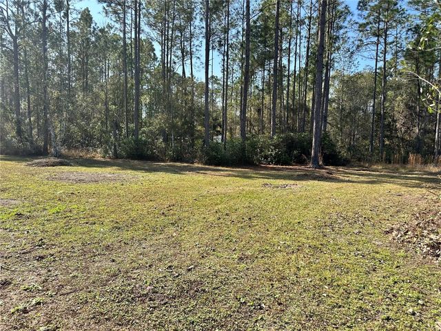 1730 BERRYBUSH STREET, Bunnell, FL 32110