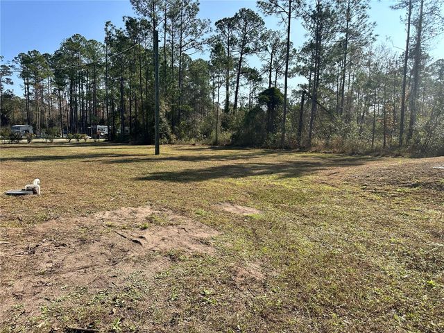 1730 BERRYBUSH STREET, Bunnell, FL 32110