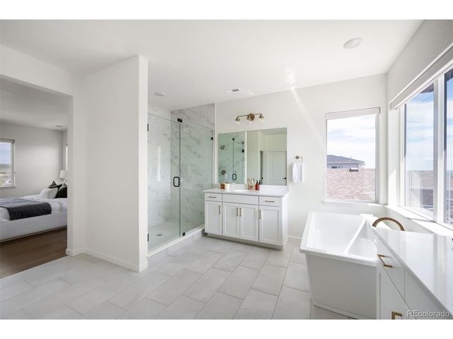 14391 Shasta Daisy Pt, Parker, CO 80134