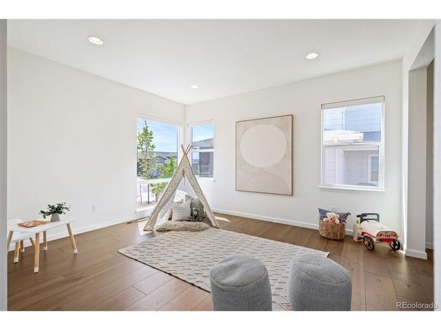 14391 Shasta Daisy Pt, Parker, CO 80134