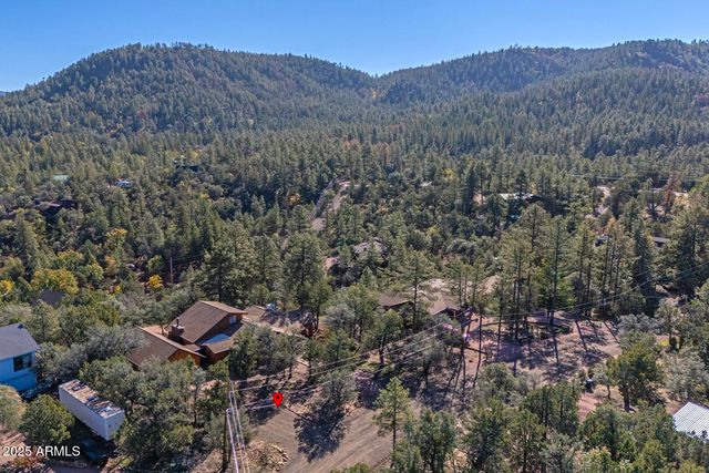 4823 N RIM VIEW Loop, Pine, AZ 85544