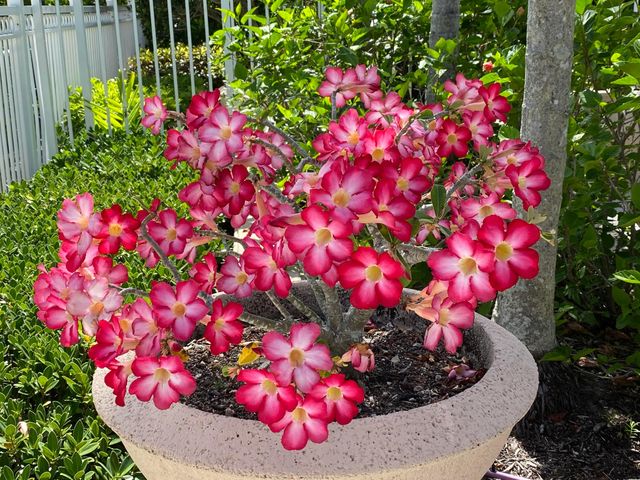 225 Murcia Drive 109, Jupiter, FL 33458