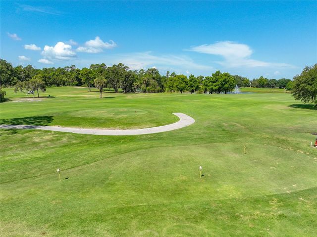 8031 ARCADIAN COURT, Mount Dora, FL 32757