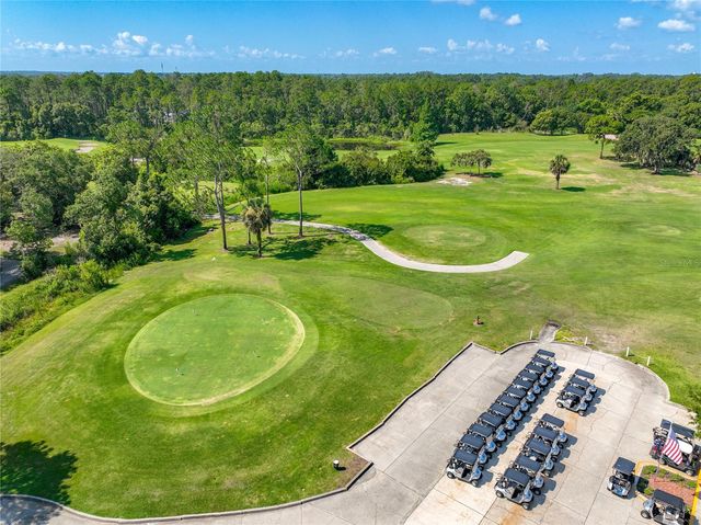 8031 ARCADIAN COURT, Mount Dora, FL 32757